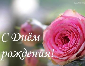 С днем рождения, Владимир Васильевич!