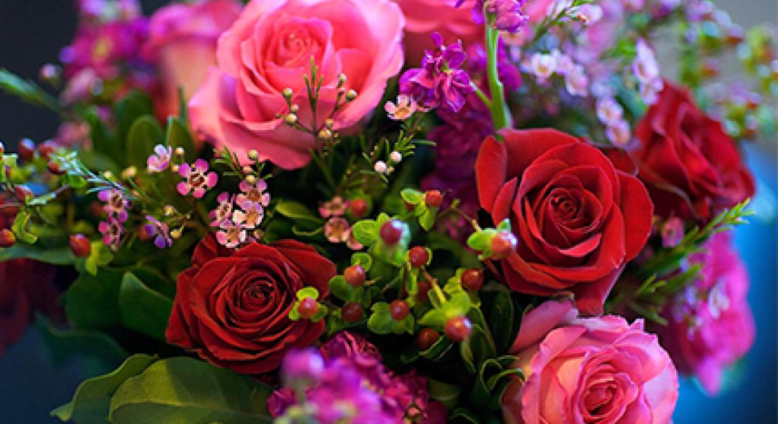 Поздравляем Наталью Базалеву с днем рождения!