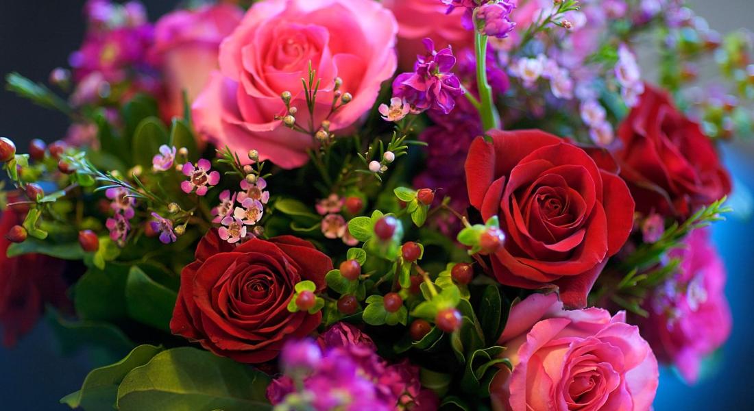 С днём рождения, Symphonica ARTica!